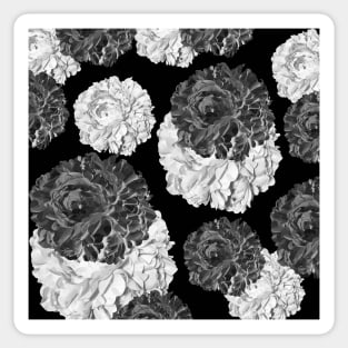 CABBAGE ROSES GRAY AND BLACK SHABBY CHIC PATTERN Sticker